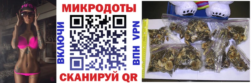 Галлюциногенные грибы Cubensis  купить закладку  Славск 